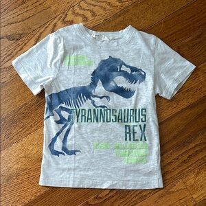 Boys H&M Gray Tyrannosaurus Rex T-Shirt Size 4/5